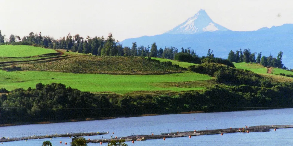 Fiskeoppdrett i ferskvann: Parti fra innsjøen El Llanquihue ved byen Puerto Varas i Chile. Foto fra år 2000. I denne innsjøen er det per i dag 14 konsesjoner for laksefisk. Ingen annen chilensk innsjø har flere. I bakgrunnen reiser vulkanen Osorno seg. Den likner til forveksling vulkanen Fuji i Japan.