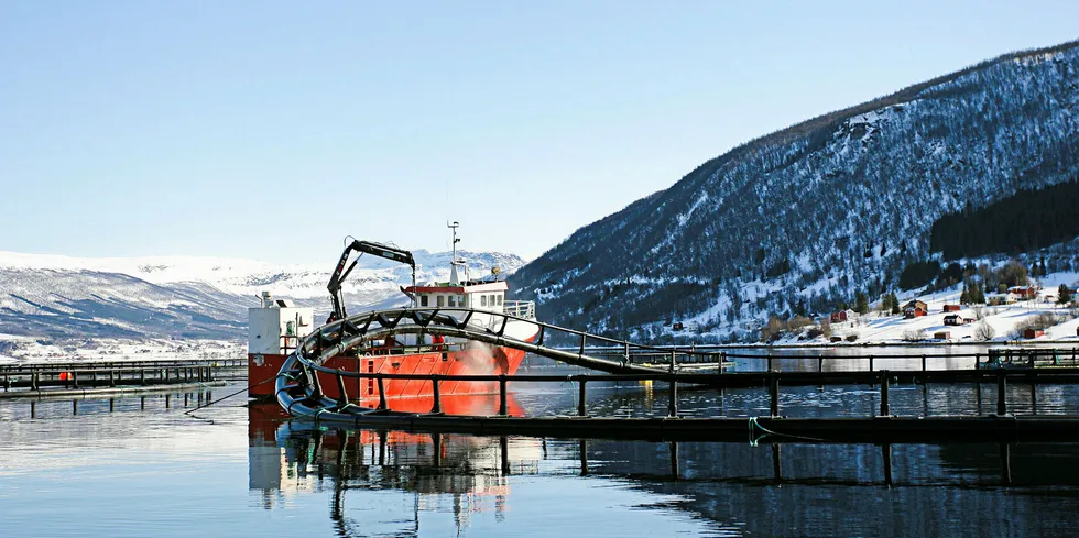 Salaks sin lokalitet i Salangen kommune i Troms.