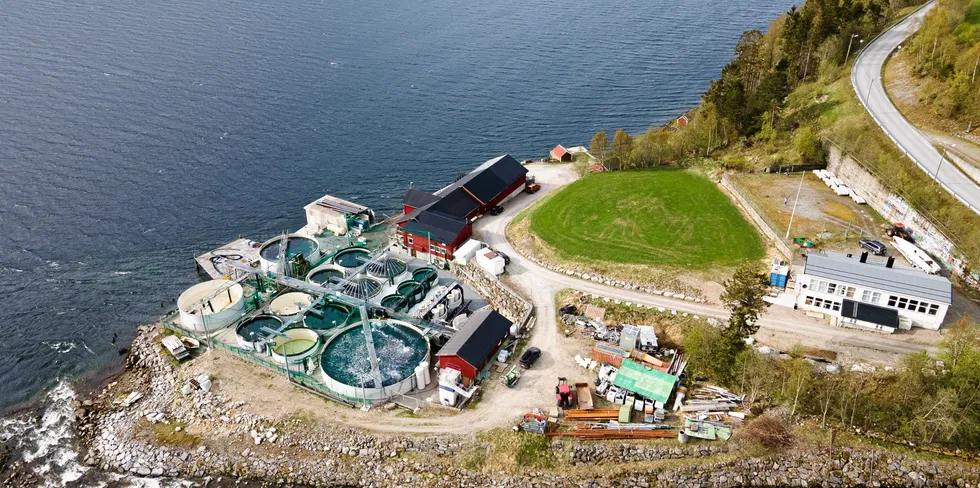 Salmon Evolution satte i slutten av mars sin første laksesmolt i landbasertanlegget sitt ved Indre Harøy i Møre og Romsdal