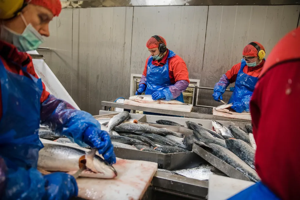 Hvis norske arbeidstimer ikke produserer like mye som før, sammenlignet med andre, er vi blitt relativt fattigere. Det gjenspeiles i kronekursen, skriver Torfinn Harding. Illustrasjonsfoto.