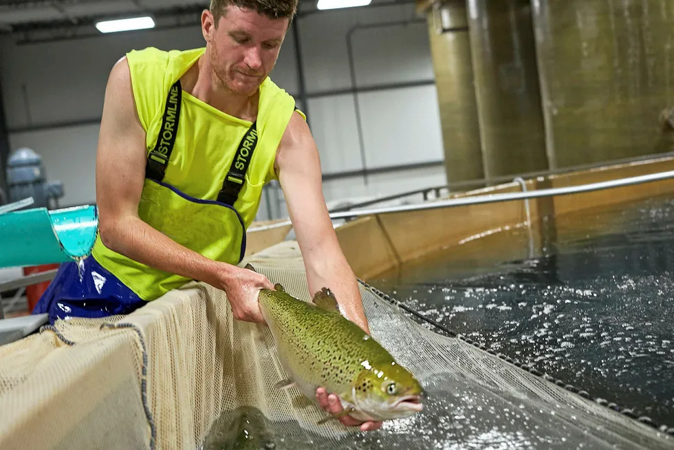 The company's AquAdvantage salmon will represent the first sale of a genetically engineered animal protein in the United States.