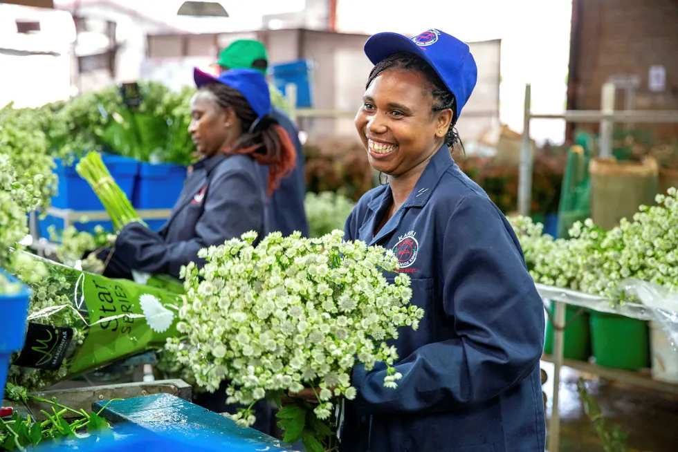 Blomsterprodusenten Marginpar i Kenya og Etiopia eksporterer til Europa og mistet så godt som alle inntekter da blomsterbørsen i Amsterdam lukket dørene, skriver Tellef Thorleifsson i Norfund.