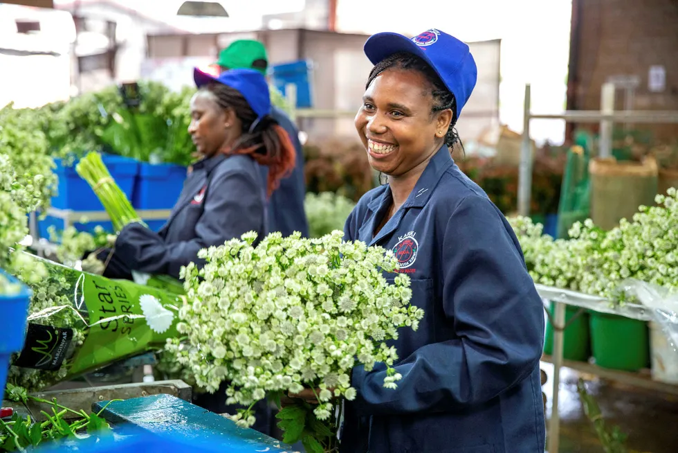 Den østafrikanske blomsterprodusenten Marginpar at de mistet så godt som alle inntekter da blomsterbørsen i Amsterdam lukket dørene i vår. Selskapet har fått nødkapital fra Norfund.