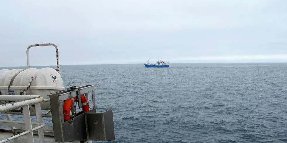 DÅRLIG FISKE: Det har vært et svært så laber fiske på nordsjøsilda. Det blir mange småkast på flåten som er i arbeid grunnet dårlig samling på silda,Illustrasjonsfoto: Kjersti Sandvik