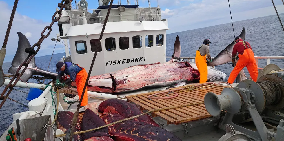 Hvalfangsten må tilbake til 2016 for å finne bedre tall enn i år. «Fiskebank 1» er et av fartøyene som har lagt bak seg en solid sesong.