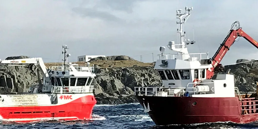 Høstefartøyene «Sjøalg» og «Taresund» høster stortare vest av Karmøy.