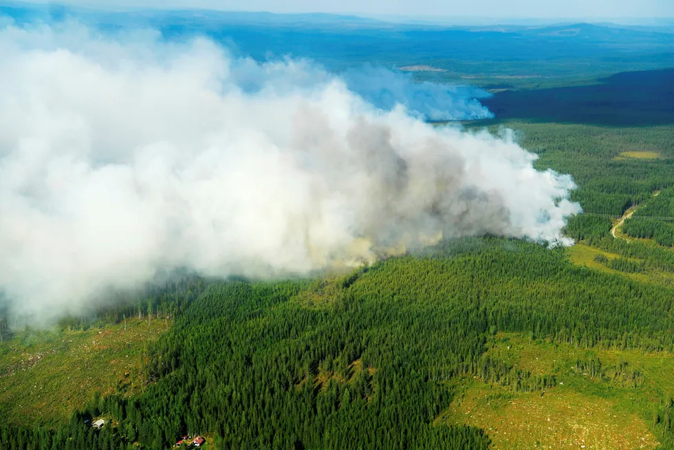 Mange skogranner i Sverige. På bildet brannen utenfor Ljusdal som er i ferd med å spre seg. Foto: Maja Suslin/TT/NTB Scanpix