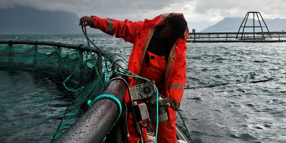 Lingalaks har vært en av pilotbrukerne av nye FeedStation.