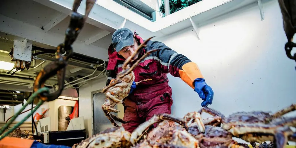 LEVERER TIL POLAR: Fiskebåten Vibeke Cathrin leverer store mengder kongekrabbe til fiskebruket Polar Seafood.Foto: Per Thrana