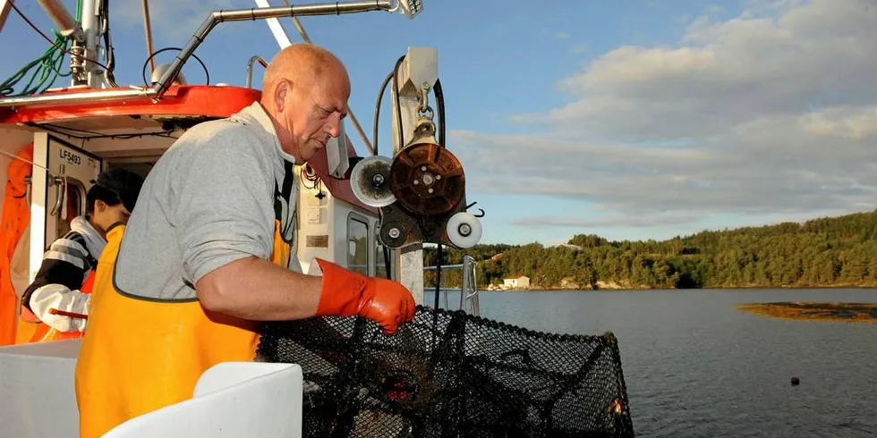 FISKER MEST: Tore Hellen fra Kvinnherad med båten «Øysol», er blant de båtene som fisket mest i det åpen fisket etter leppefisk. Nå sørger gode priser for god inntjening også med liten kvote i lukket fiske.Foto: Jonn Karl Sætre