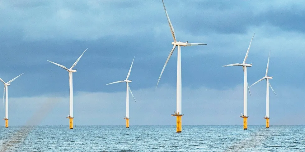 EDF's Teesside wind farm off England