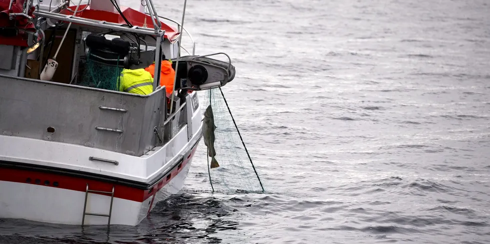 Garnbåtene venter på torsken i Nord-Troms. I Øst-Finnmark tar torskelandingene seg opp.