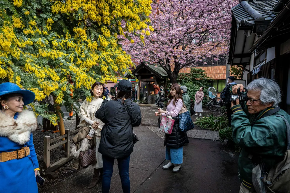 Våren har kommet til Tokyo og folk flokker ut for å ta bilder. Sentralbanken forbereder en normalisering av pengepolitikken og den første renteøkningen siden 2007.