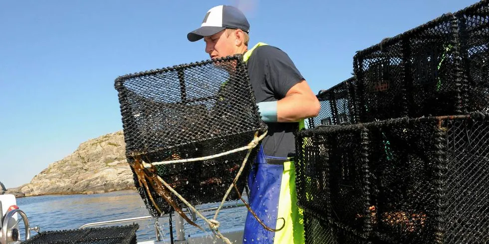 Skipper og reder Vegard Aanensen var ferdig med leppefiskkvoten rundt 20. august. Han skulle gjerne fått fiske mer leppefisk. Foto: Kjersti Kvile