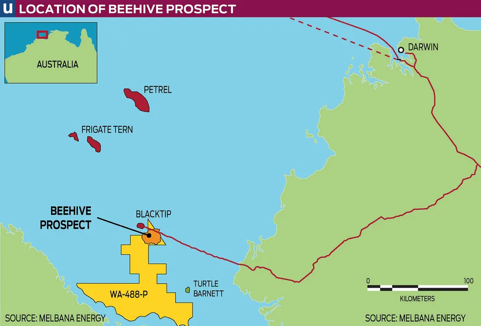Beehive: prospect could be drilled late next year
