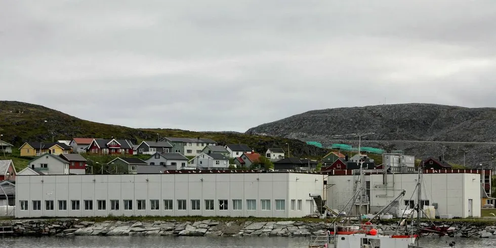 ADVARER: Distriktskvoten til Nordkynhalvøya kommer ikke til å bli bearbeidet i regionen den er tiltenkt så lenge det ikke er bearbeidingsplikt knyttet til fisken, mener industrilederne i distriktet.Arkivfoto: Terje Jensen