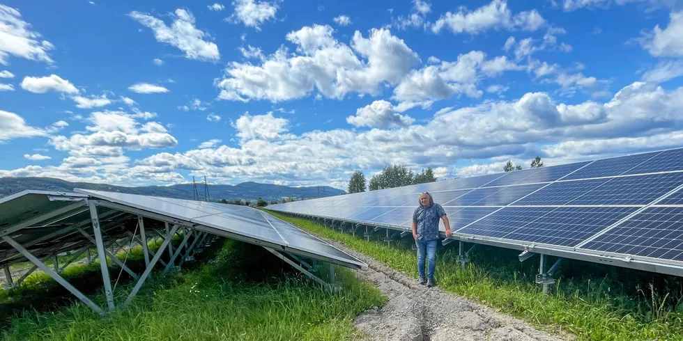 Solkraft-gründer Ove Helgesen i Hydropower AS foran Vikersund solcellepark 1 i Modum kommune. Her skal sauer beite under panelene, sier han.