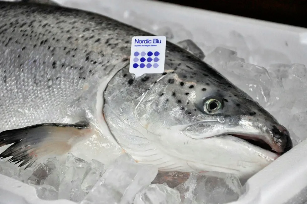 Nordic Blu salmon is part of the CleanFish portfolio of seafood products.