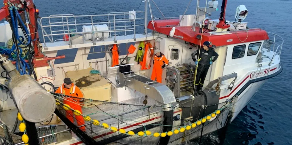 «Fredøy» fra Leinøy har fisket 296 tonn makrell med sin 15-meters Cleopatra-sjark i sunnmørsfjorder.