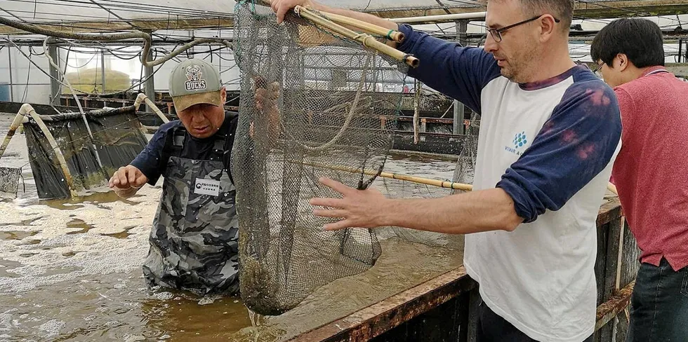 The first batch of shrimp produced in Europe's biggest shrimp farm were given to the Ukranian army, Vismar Aqua’s CTO, Lubomir Haidamaka says.