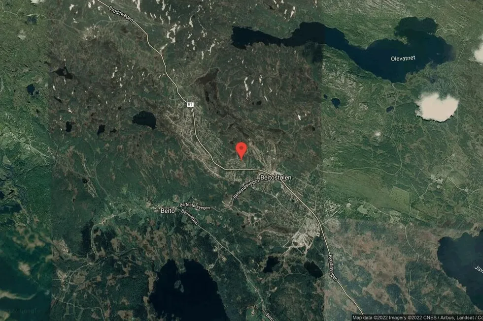 Området rundt Bjødnabakkgoto 24A, Øystre Slidre, Innlandet