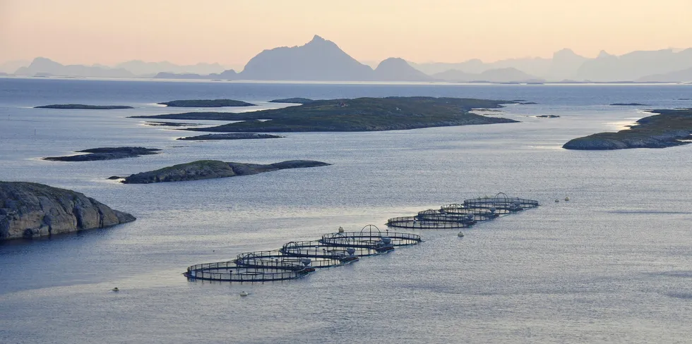 Lovundlaks på Helgeland har investert stort i ny kapasitetsvekst, og har mellom anna selt aksjar i NRS for å finansiere veksten.