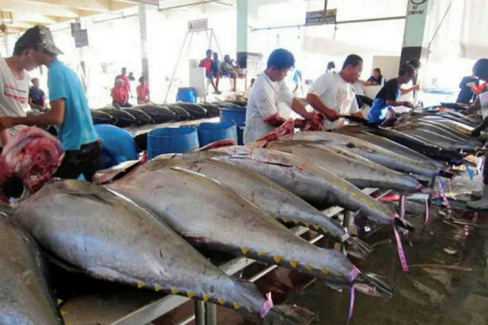 Expert: Why tuna fisheries management doesn't always work