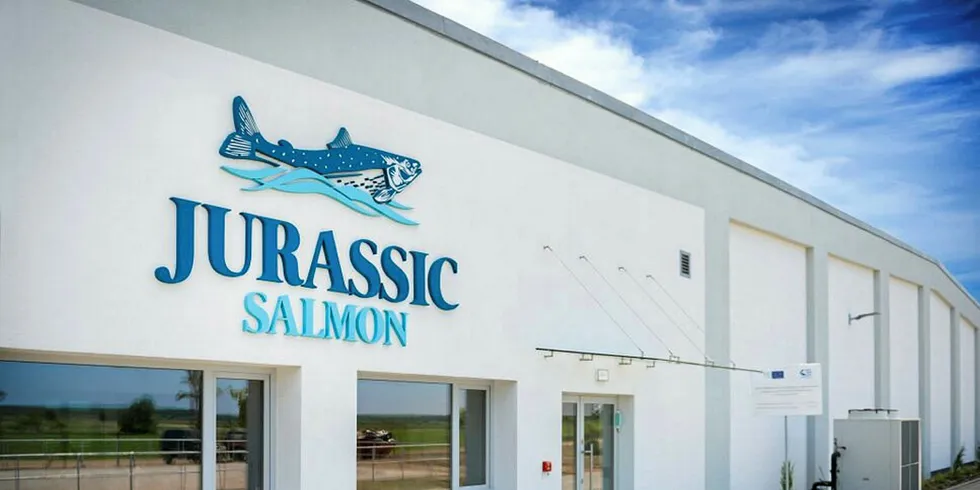 Selskapet Jurassic Salmon slakter jevnt og trutt – men laksen er for liten.