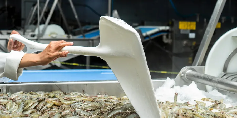 A US shrimp association said it is being harmed by shrimp imported from other countries.