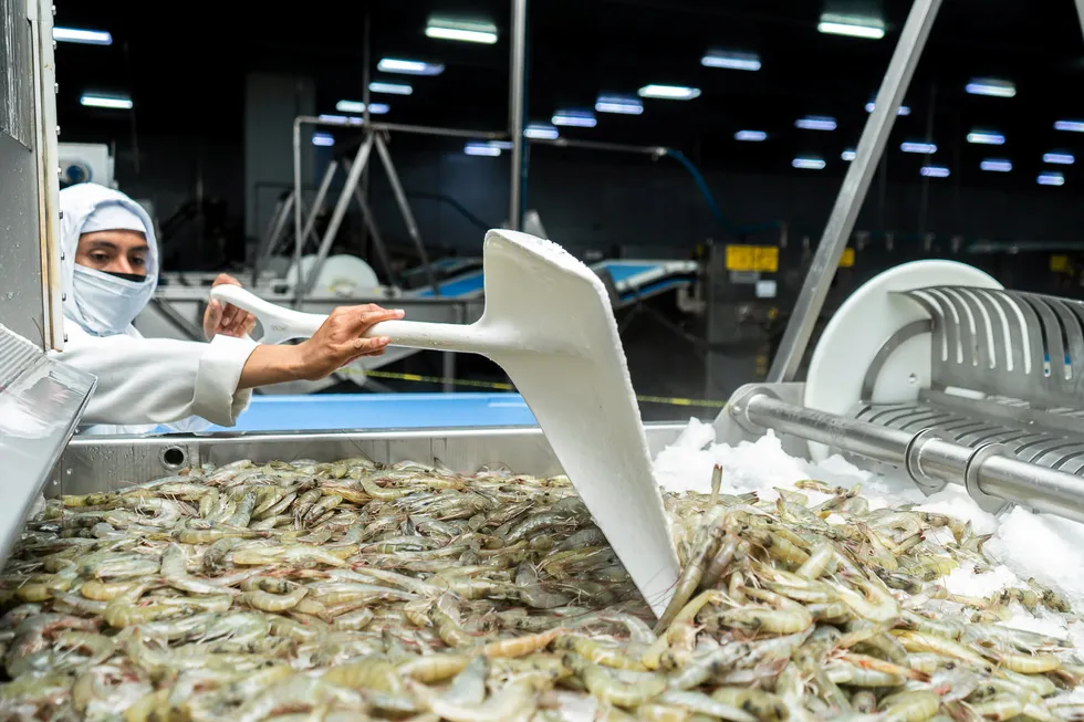 A US shrimp association said it is being harmed by shrimp imported from other countries.