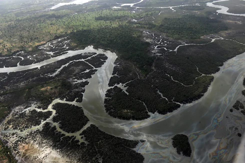 Another spill: this photo was taken in March 2013 and shows part of the Niger Delta devastated by oil spills