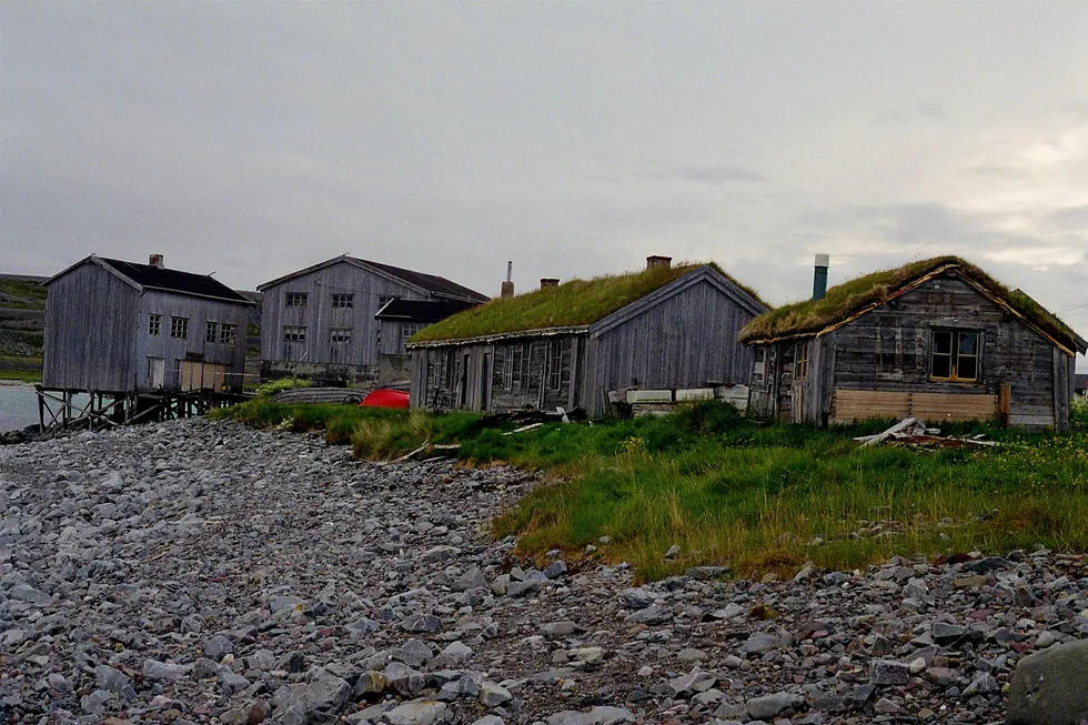 I Finnmark er fødselstallet halvert siden 1990-tallet. Her fra Hamningberg i Båtsfjord kommune, som ble fraflyttet allerede på 1960-tallet.