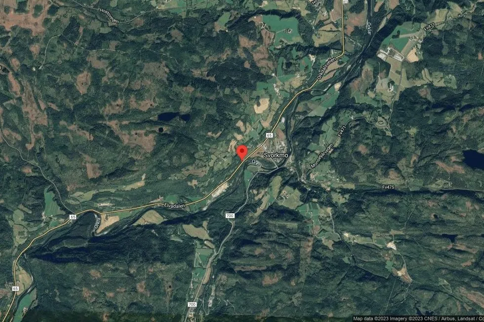 Området rundt Elvadalen 47, Orkland, Trøndelag