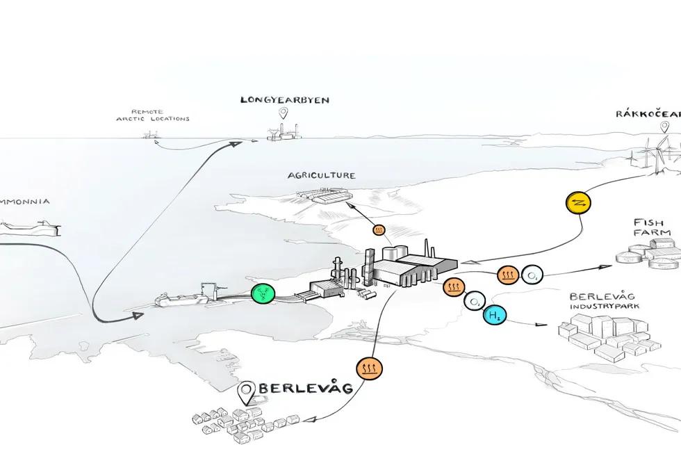 Green Ammonia Berlevåg AS i Finnmark har planer om å bruke vindkraft til å lage ammoniakk. Det kan bli Norges første komplette, kommersielle verdikjede for grønn ammoniakk.