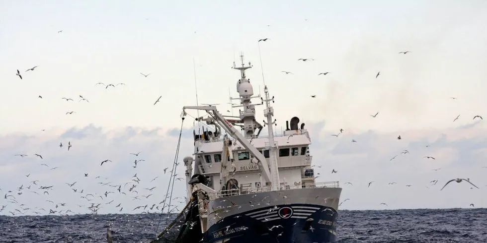 BARENTSHAVET: Statsminister Erna Solberg bør vise at ho meiner det er viktig å ta vare på havet.Foto: RUNE KVAMME