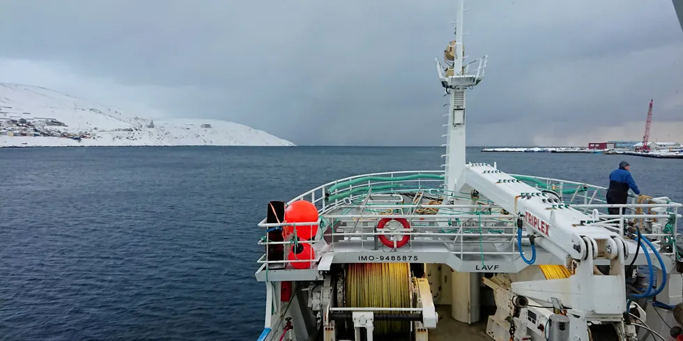 GOD KVALITET: Etter det jeg kjenner til er fiskere som benytter snurrevad, i likhet med de fleste av sine yrkesbrødre, opptatt av å lande fisk av god kvalitet.