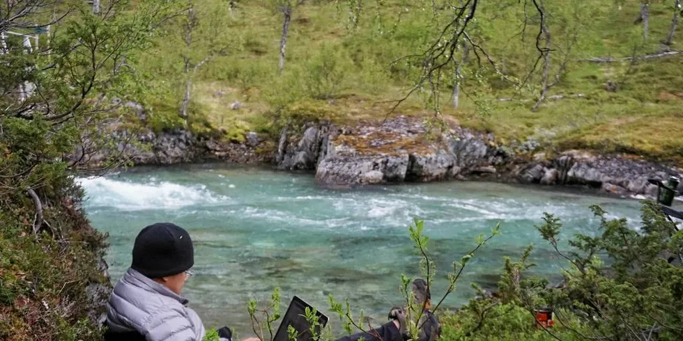 Tony Chen benytter anledningen til å jobbe ute i norsk natur.Foto: Manolin