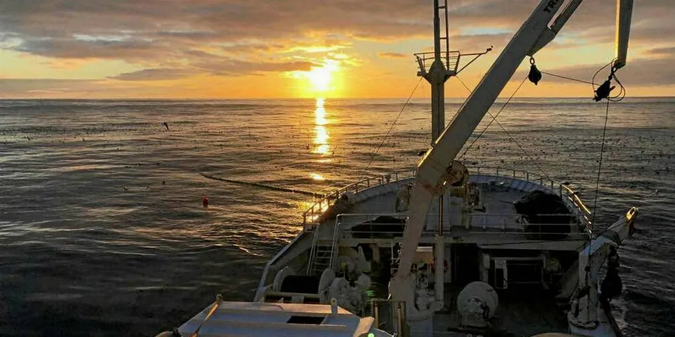 Vikingbank på loddefiske i Barentshavet februar 2018.Foto: Privat