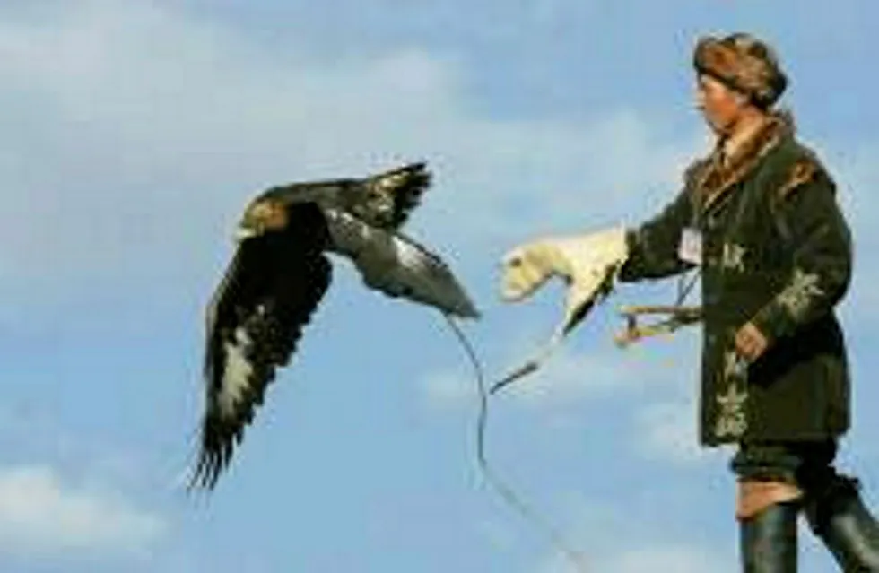 Spreading its wings: a hunter releases a golden eagle at a hunting festival in Kazakhstan
