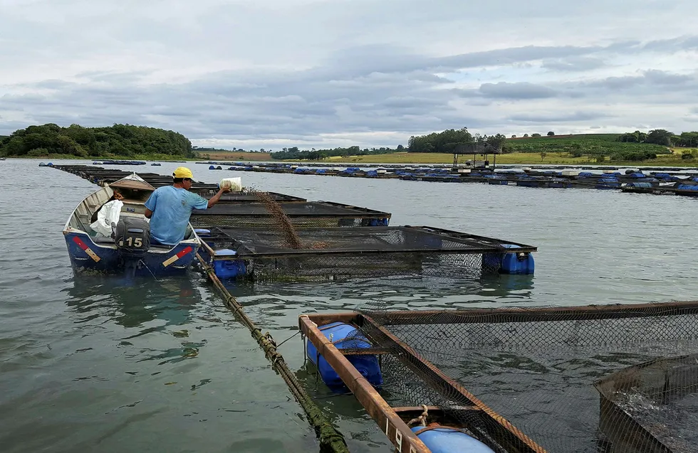 Brazilian aquaculture producers are finding it difficult to find funds keep their operations afloat.