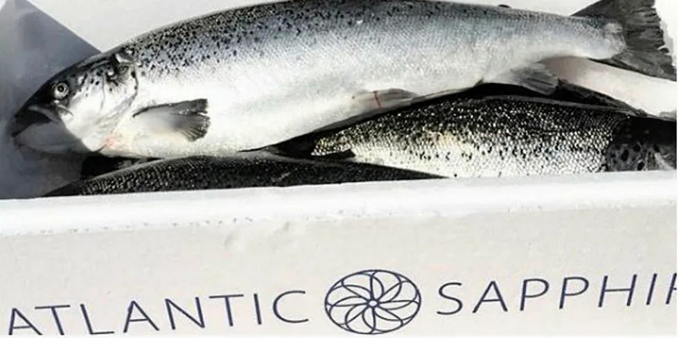 Atlantic Sapphire's land-based salmon will be key to what Kontali calls a "double jackpot" scenario for North American production.