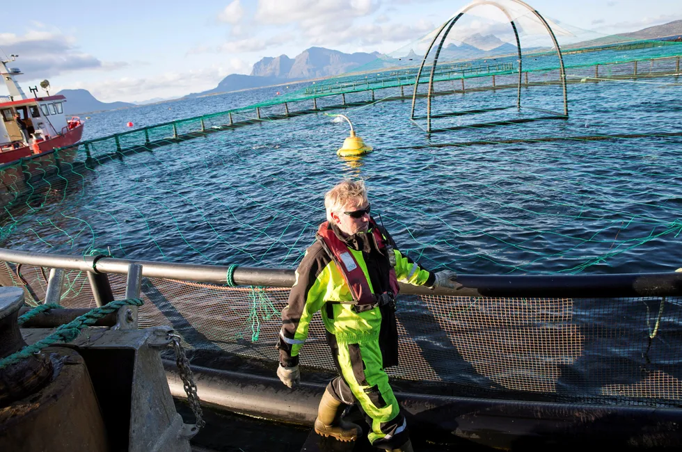 Røkter i arbeid i Nordland