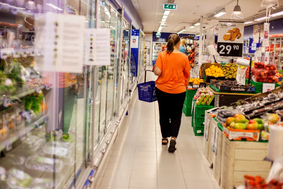 Dagligvarekjedenes prispåslag har utviklet seg gunstigere – for forbrukerne – i Norge enn i Danmark og Sverige, skriver artikkelforfatteren.