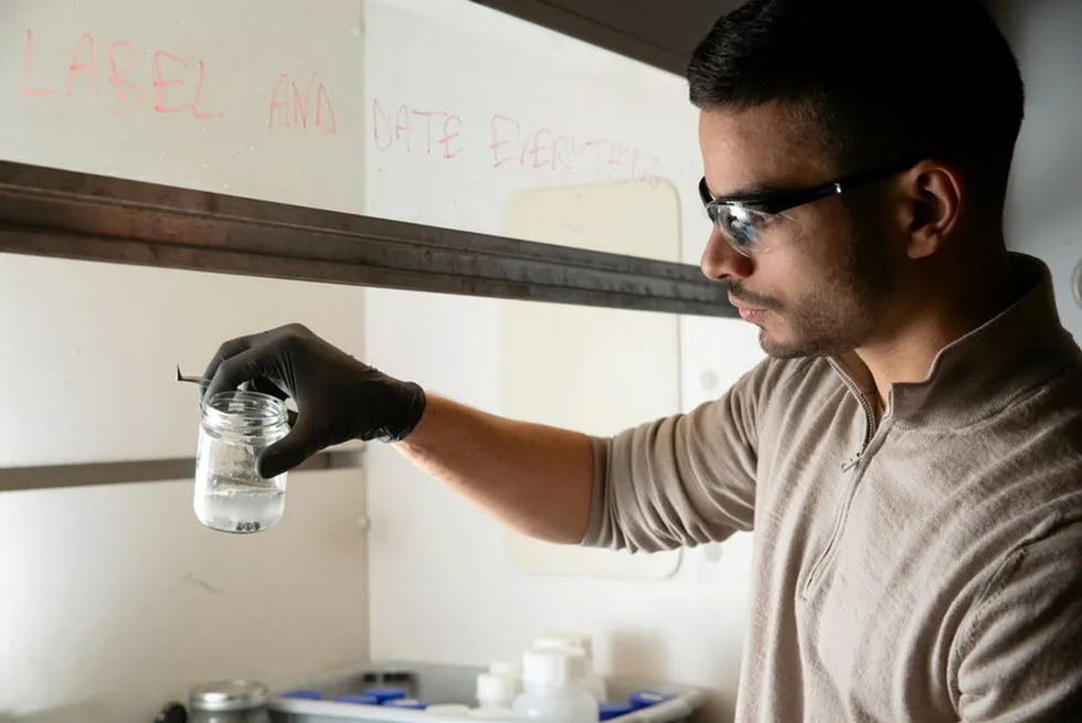 MIT PhD student Aly Kombargi, who is also lead author of the study, holds a jar of aluminum pellets producing hydrogen from seawater.