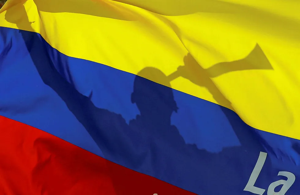 Colombia: Amerisur began drilling in the Platanillo block