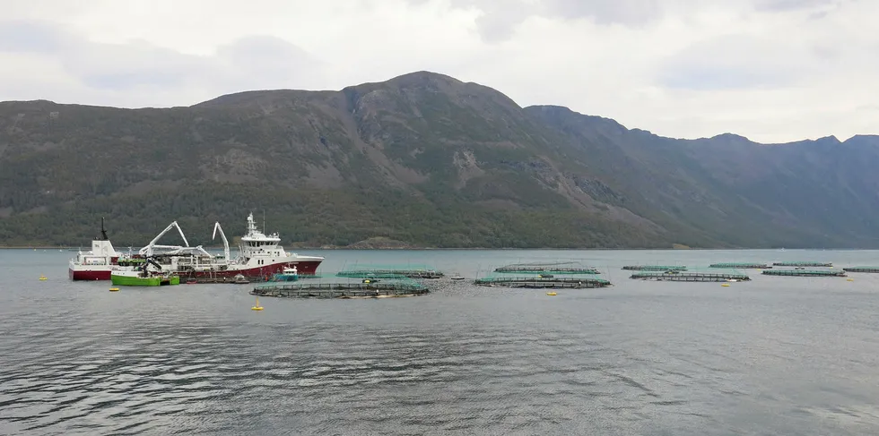 agforbundet kjemper fortsatt for at det skal bli grunnrente på lakseoppdrett. Men LO-forbundet står ganske alene i den kampen. Her fra lakseoppdrett i Vest-Finnmark.