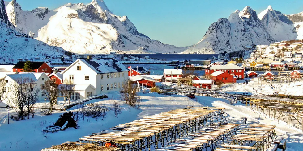 USIKKERT RUNDT VINTERFISKE: På Reine i Lofoten henges det enda fisk på hjeller. Fisk som i hovedsak skal til Italia. Men usikkerheten brer nå om seg i hele næringa.