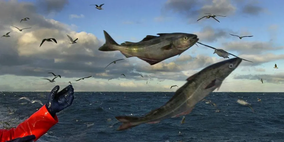 MENINGSLØST: Det er meningsløst at det kastes fisk på havet istedenfor å ta den til land og gjøre bruk av råstoffet.Arkivfoto: Ragnar Axelsson