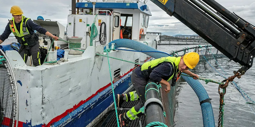 Prosjektet «Kystnær beredskap» setter som mål å ruste oppdrettsnæringen til å kunne takle større, uforutsette kriser,