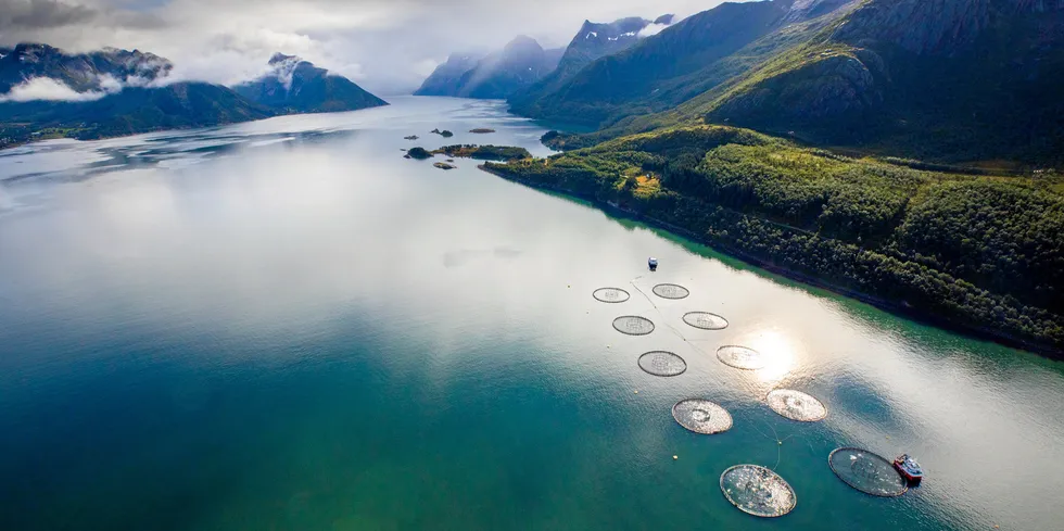 A suspected Pancreas disease (PD) outbreak at Norwegian salmon farmer Nova Sea in Vega municipality in Nordland county has been confirmed. The picture is not related to the incident.